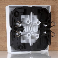 Merten Doppelwippe für Serienschalter Aktivweiß glänzend 55×55mm System M 432525 / 30235