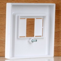 Merten Zentralplatte für TAE / Audio / USB Aktivweiß glänzend 55×55mm System M 296025 / 30239